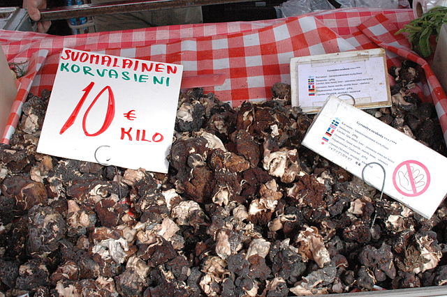 A red checked tablecloth covered in false morels. A small sign has a warning and a symbol asking customers not to touch. They cost 10 euros per kilo.