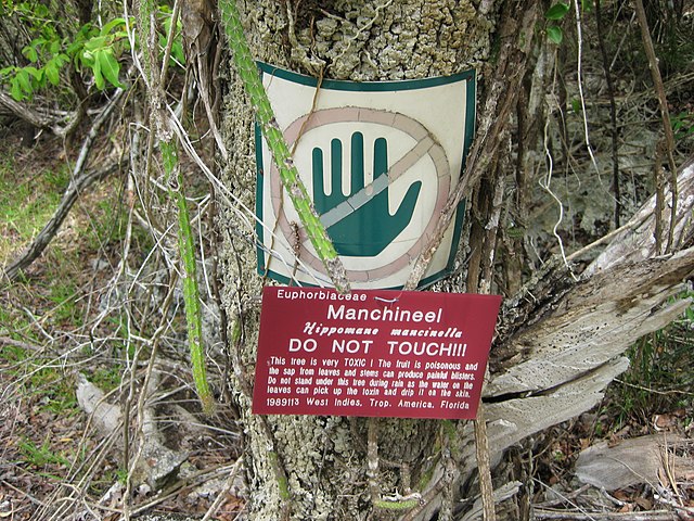 A tree trunk with a hand symbol with a line through it (reminding people not to touch). And a red sign with the latin name and "DO NOT TOUCH!!!".