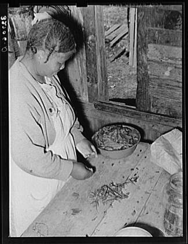 A black and white photo of a lady sorting the shoots of pokeweed and adding them to a bowl on a wooden table.