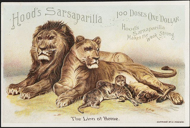 The image shows a family of lions with the text, "Hood's Sarsaparilla, makes the weak strong".
